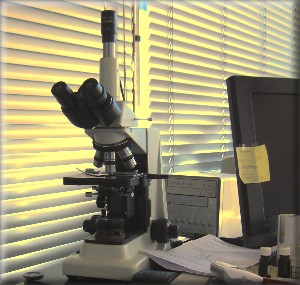 Dunkelfeld - Mikroskop